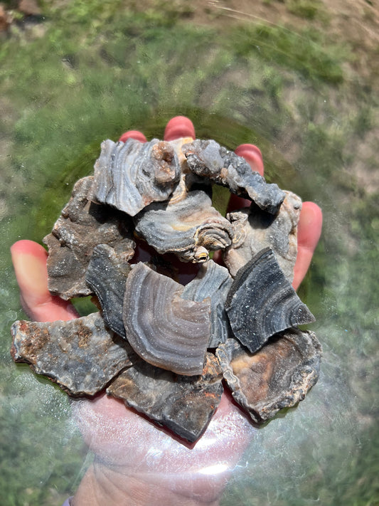 Chalcedony Specimens