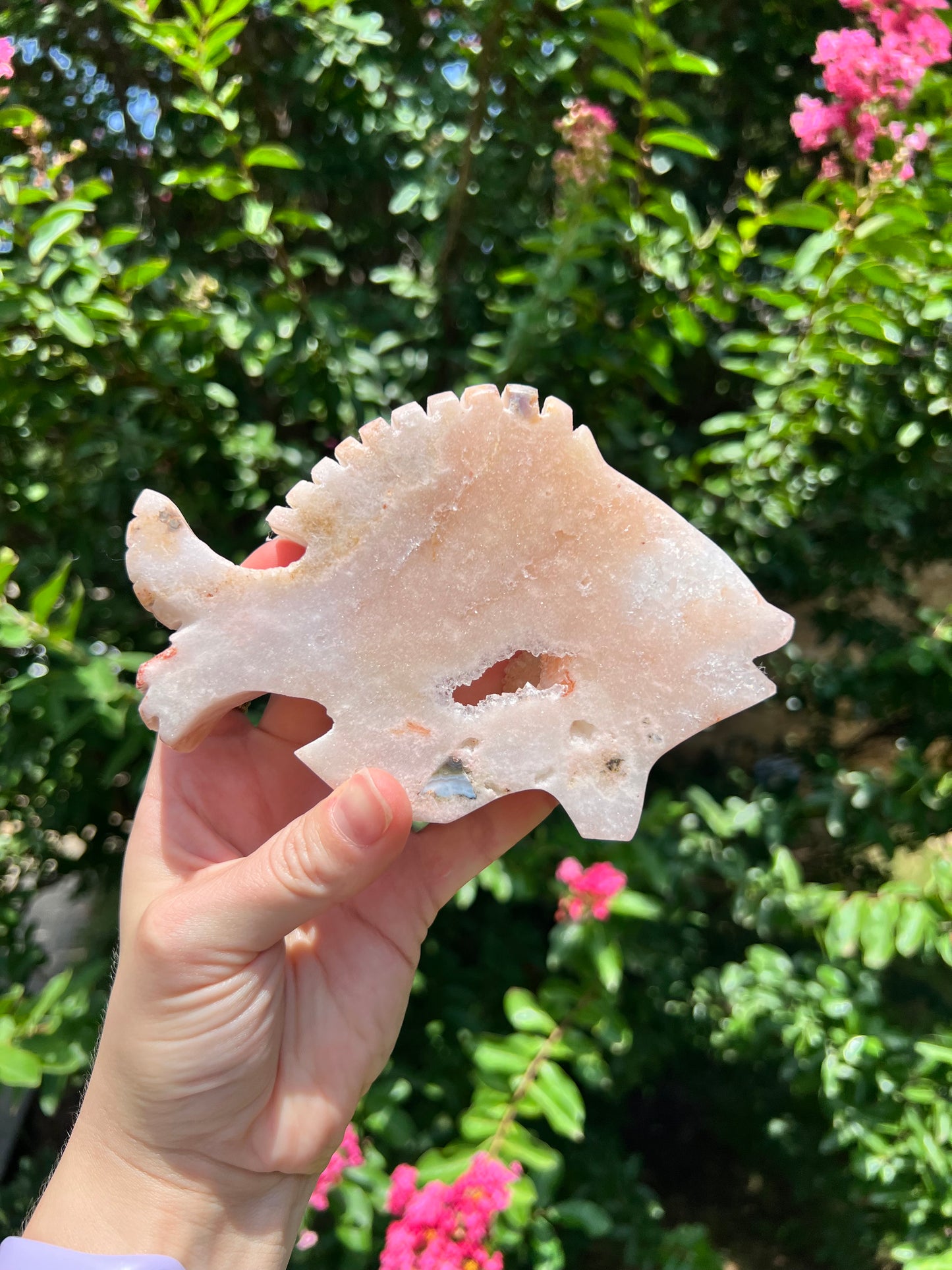 粉红紫水晶蝴蝶
