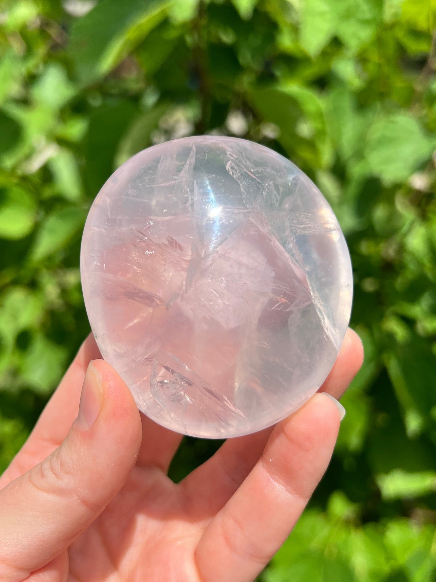 Rose Quartz Jelly Palm Stone
