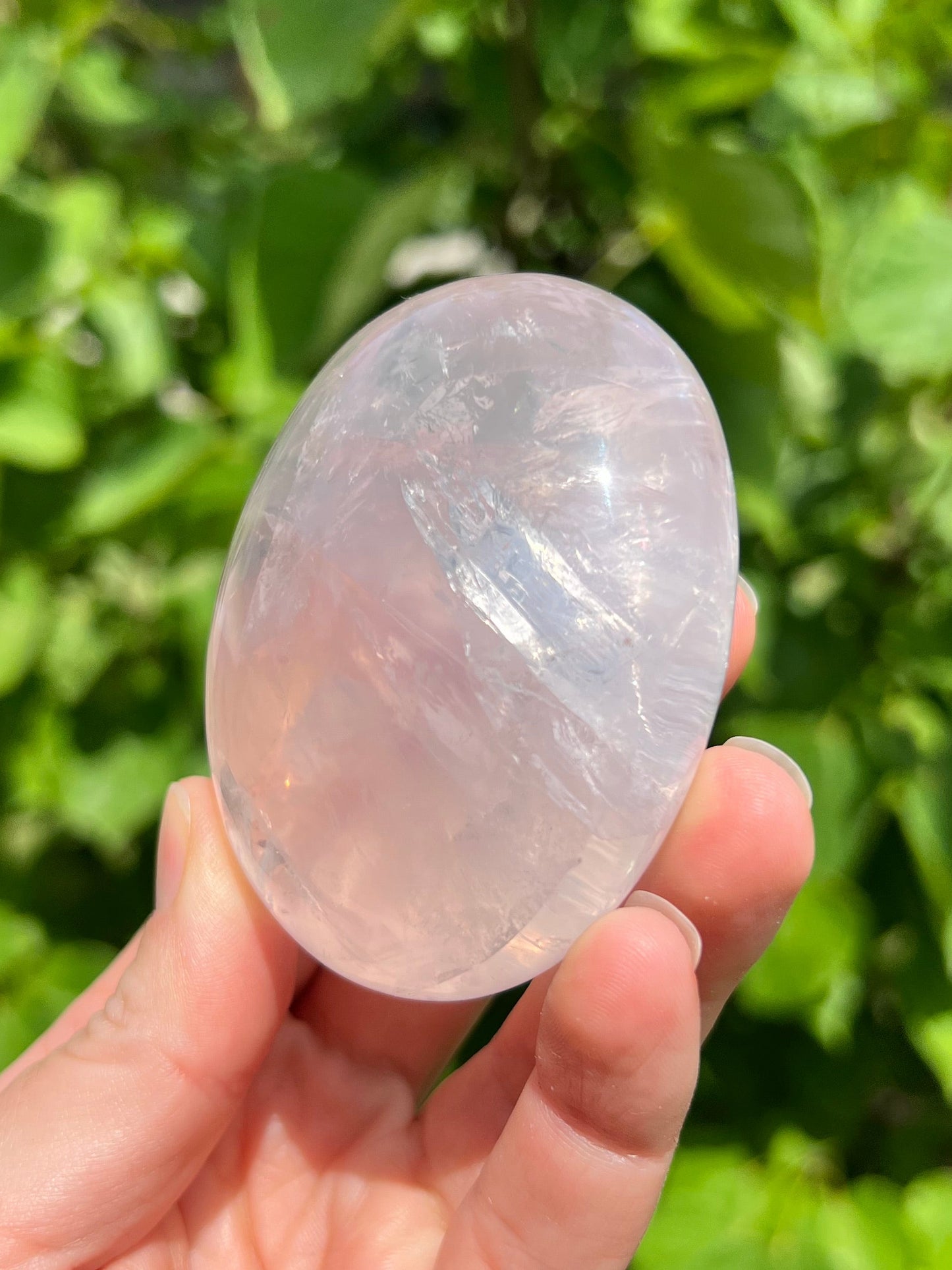 Rose Quartz Jelly Palm Stone