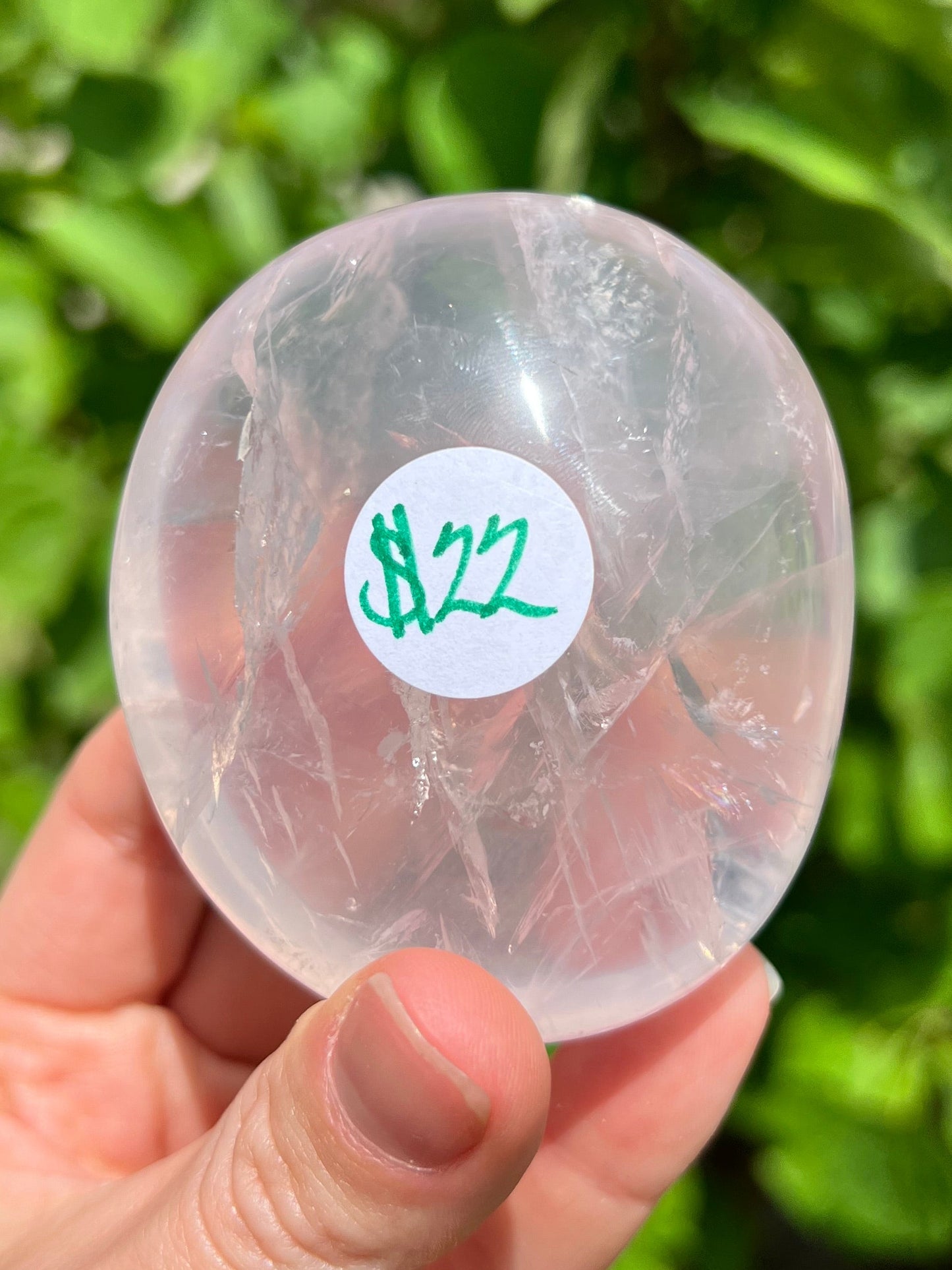 Rose Quartz Jelly Palm Stone