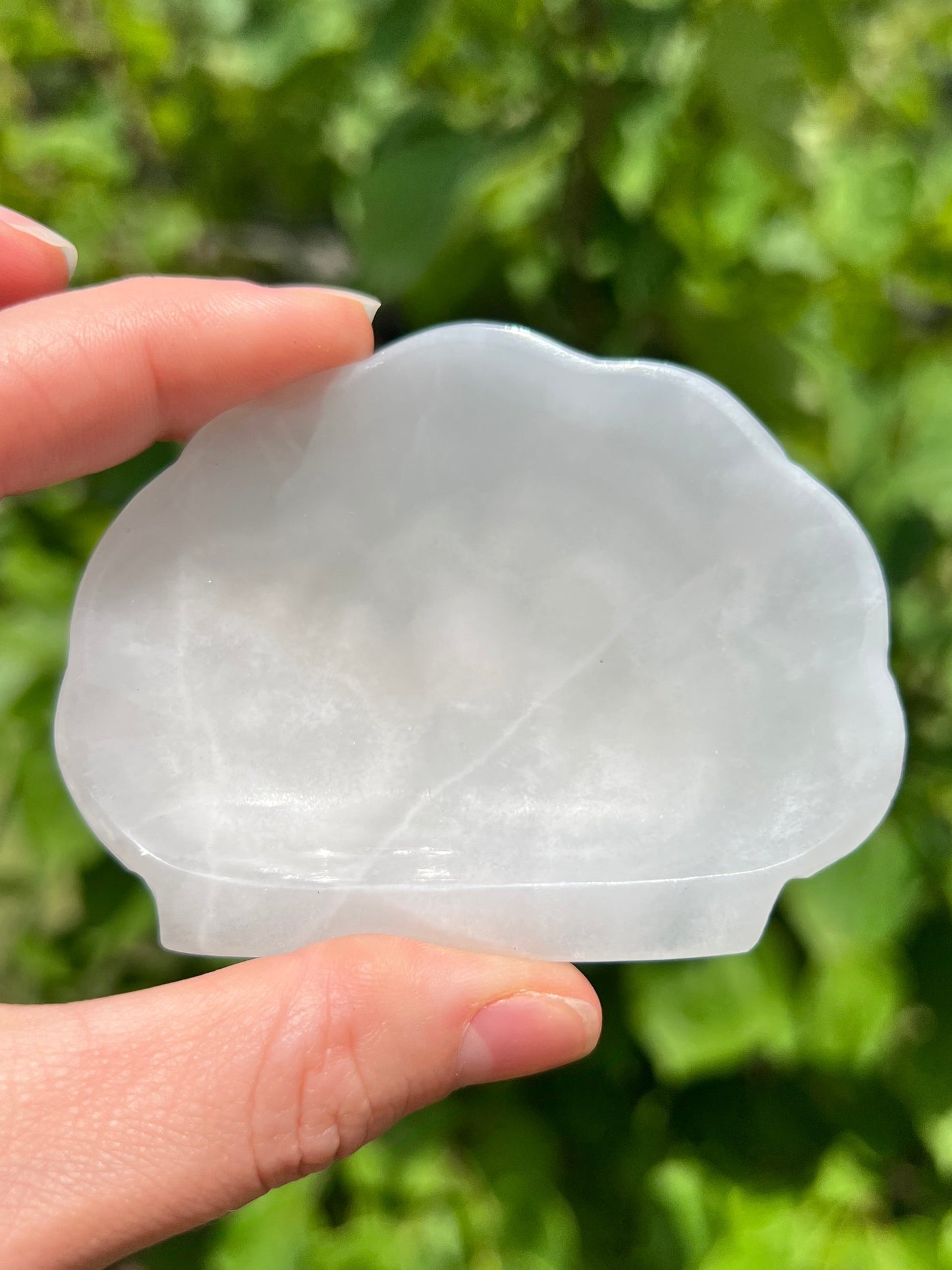 Onyx Seashell Dishes