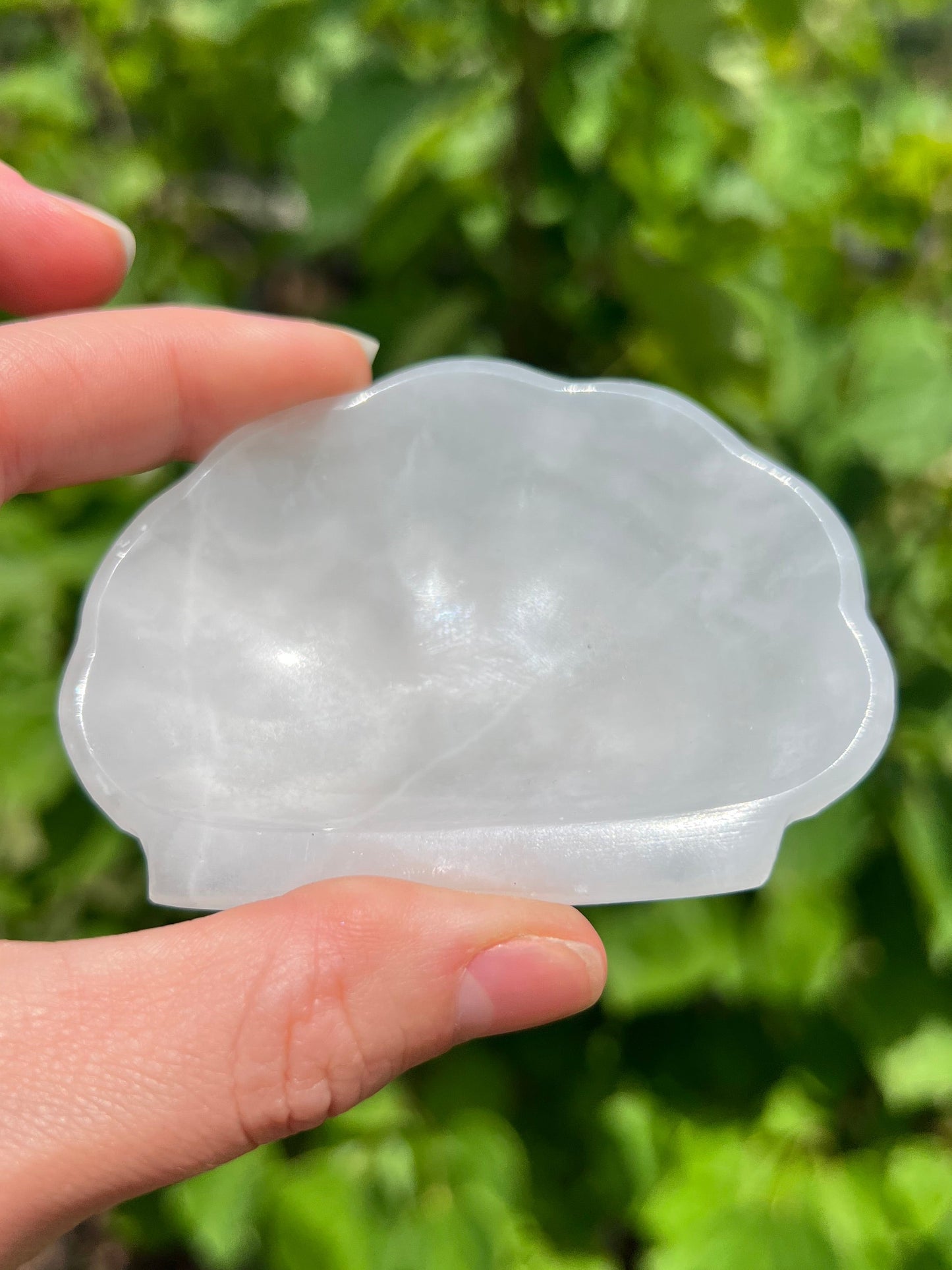 Onyx Seashell Dishes
