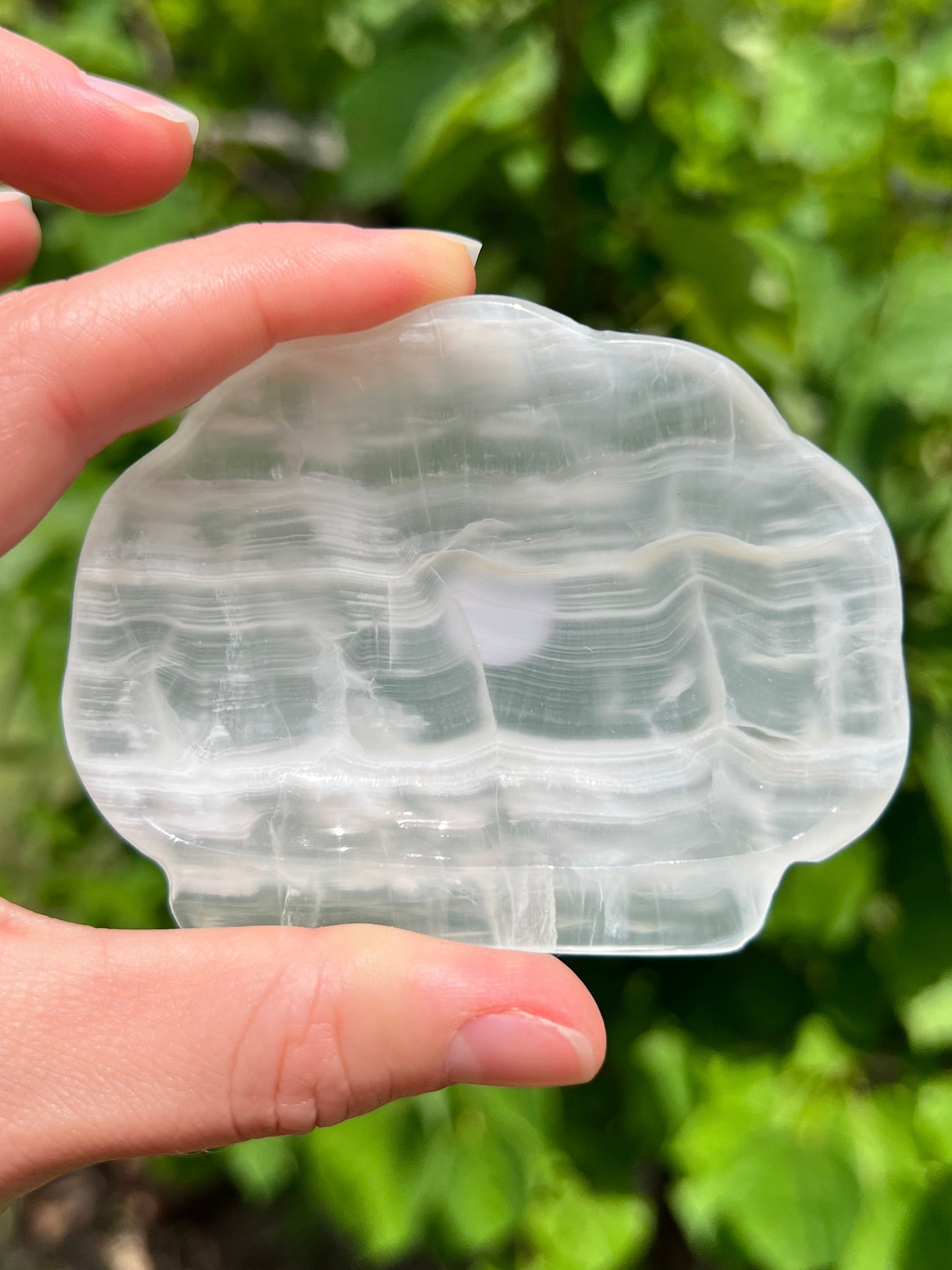 Onyx Seashell Dishes