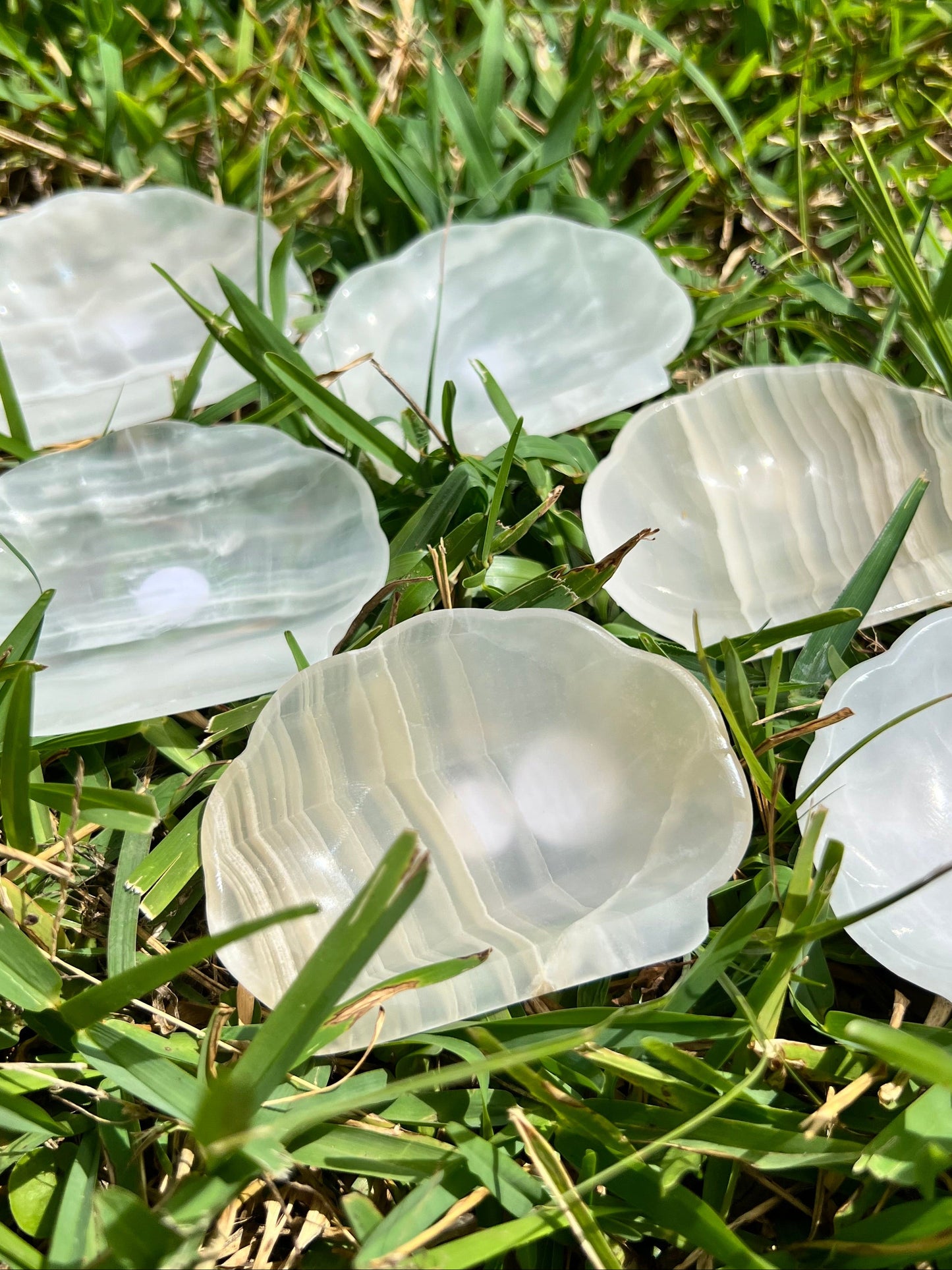 Onyx Seashell Dishes