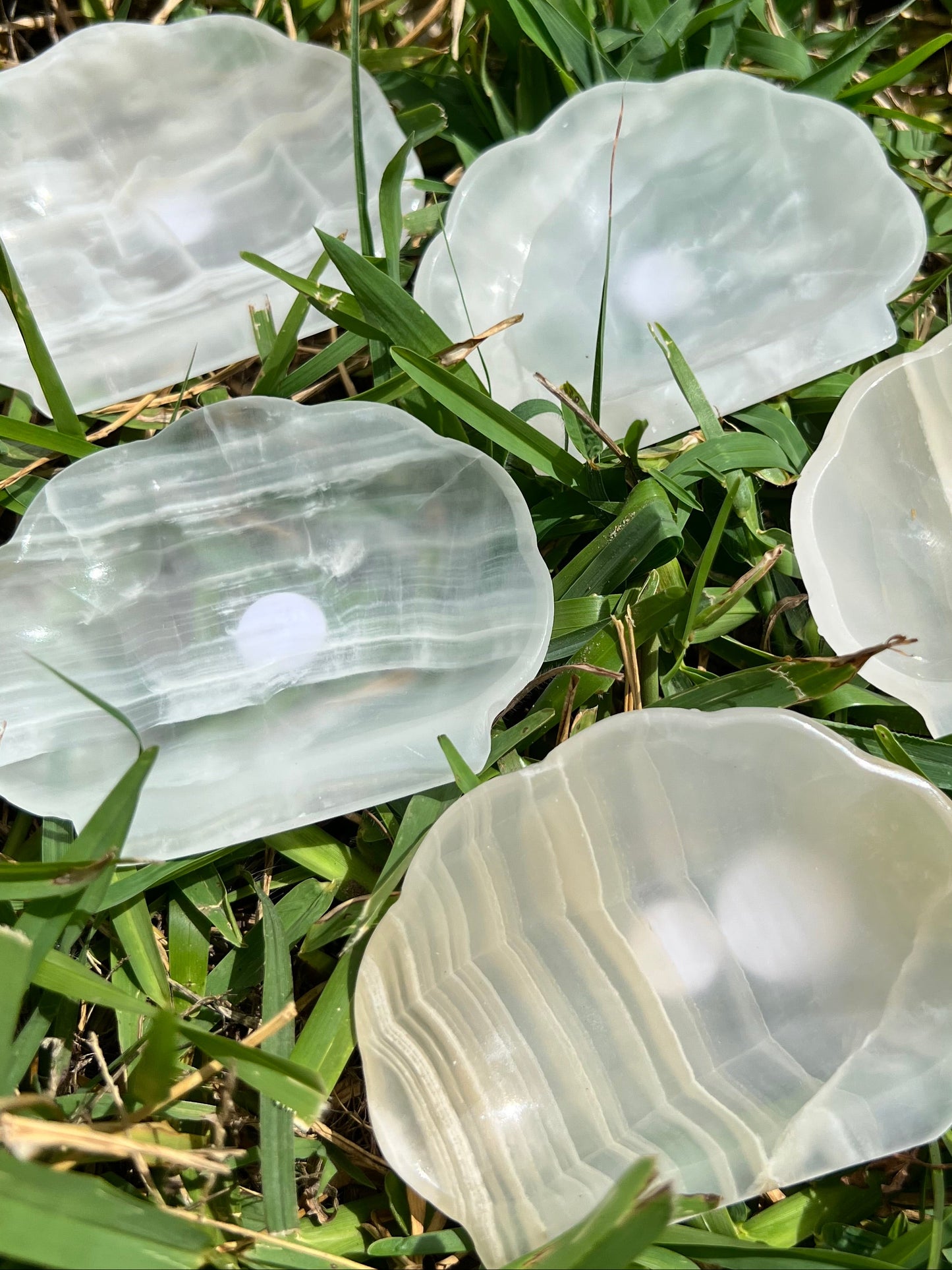 Onyx Seashell Dishes