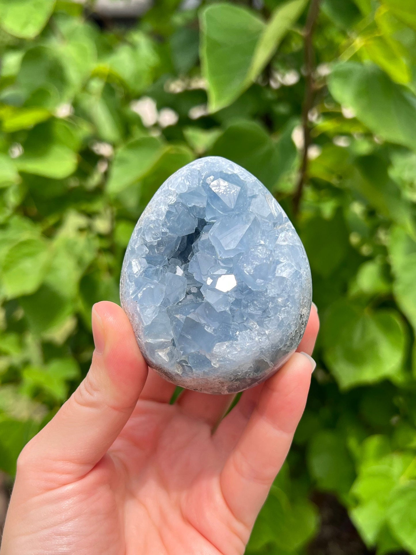 Celestite Eggs