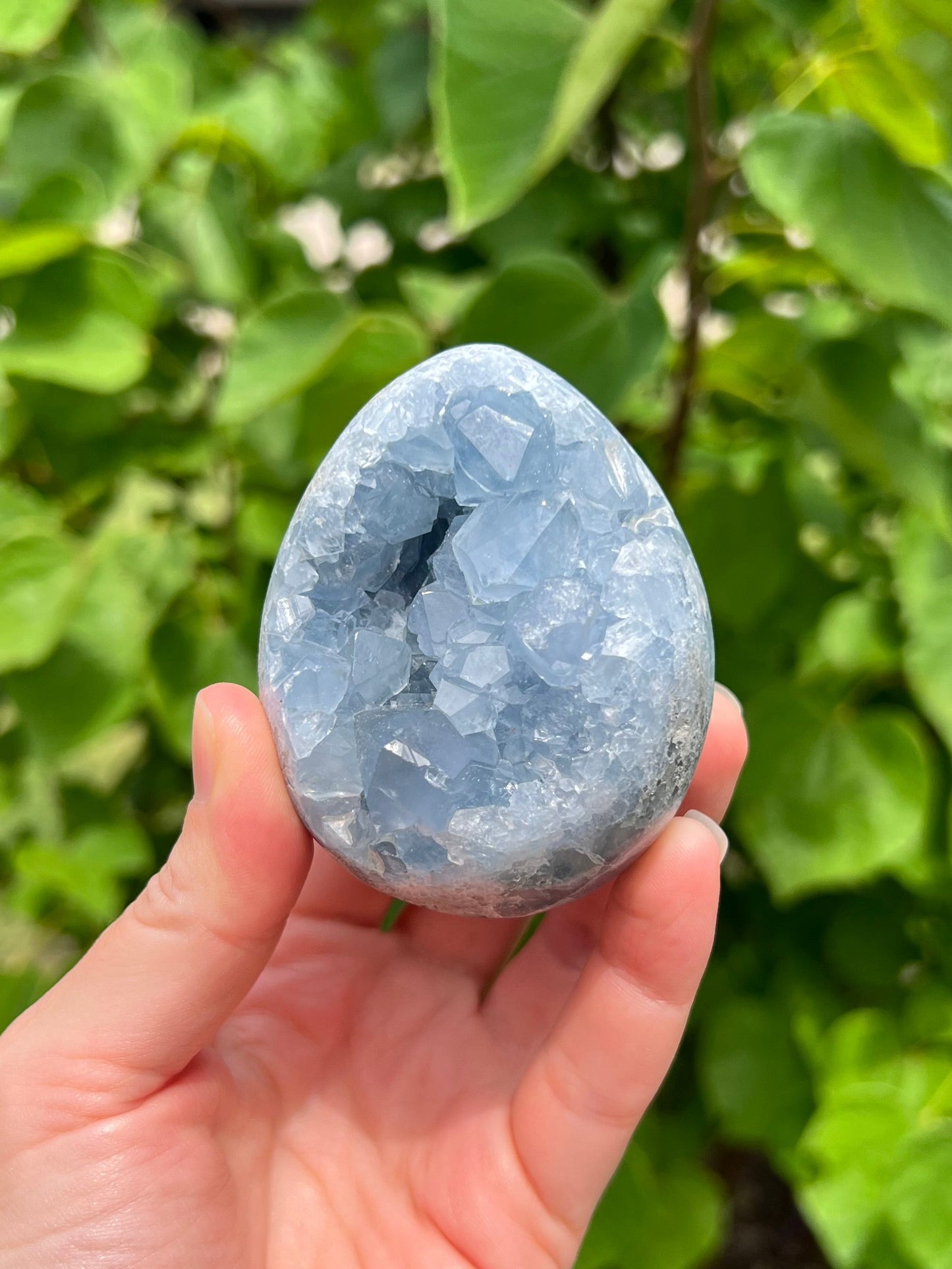 Celestite Eggs