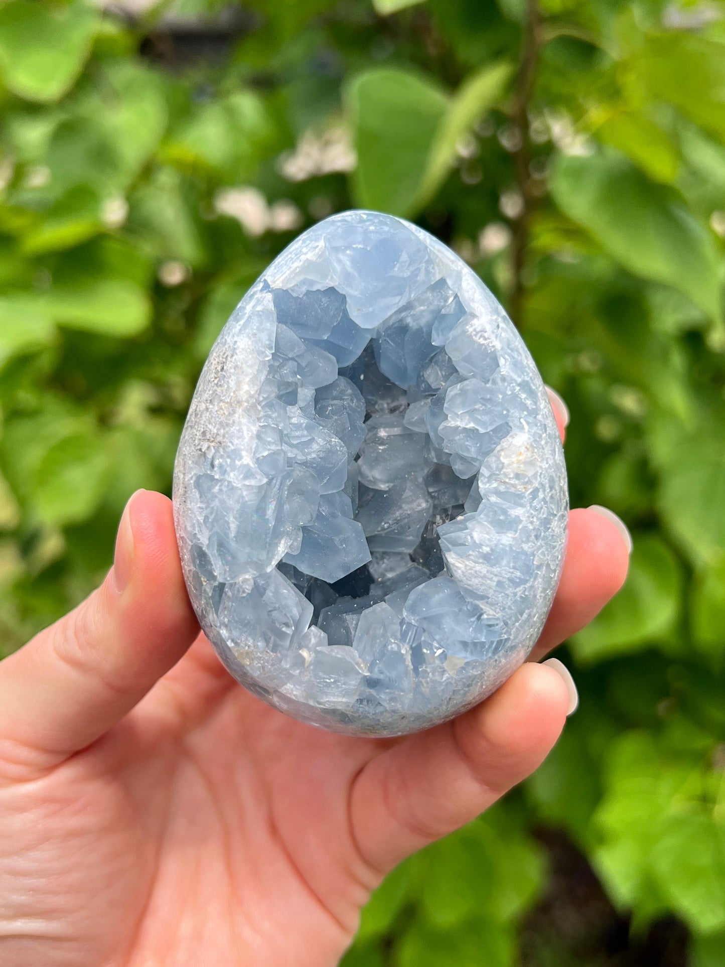 Celestite Eggs