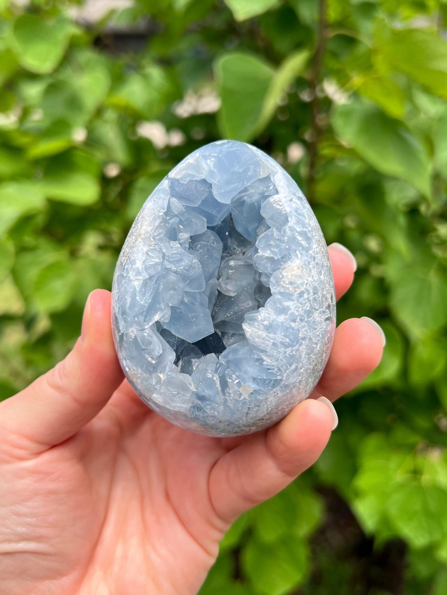 Celestite Eggs
