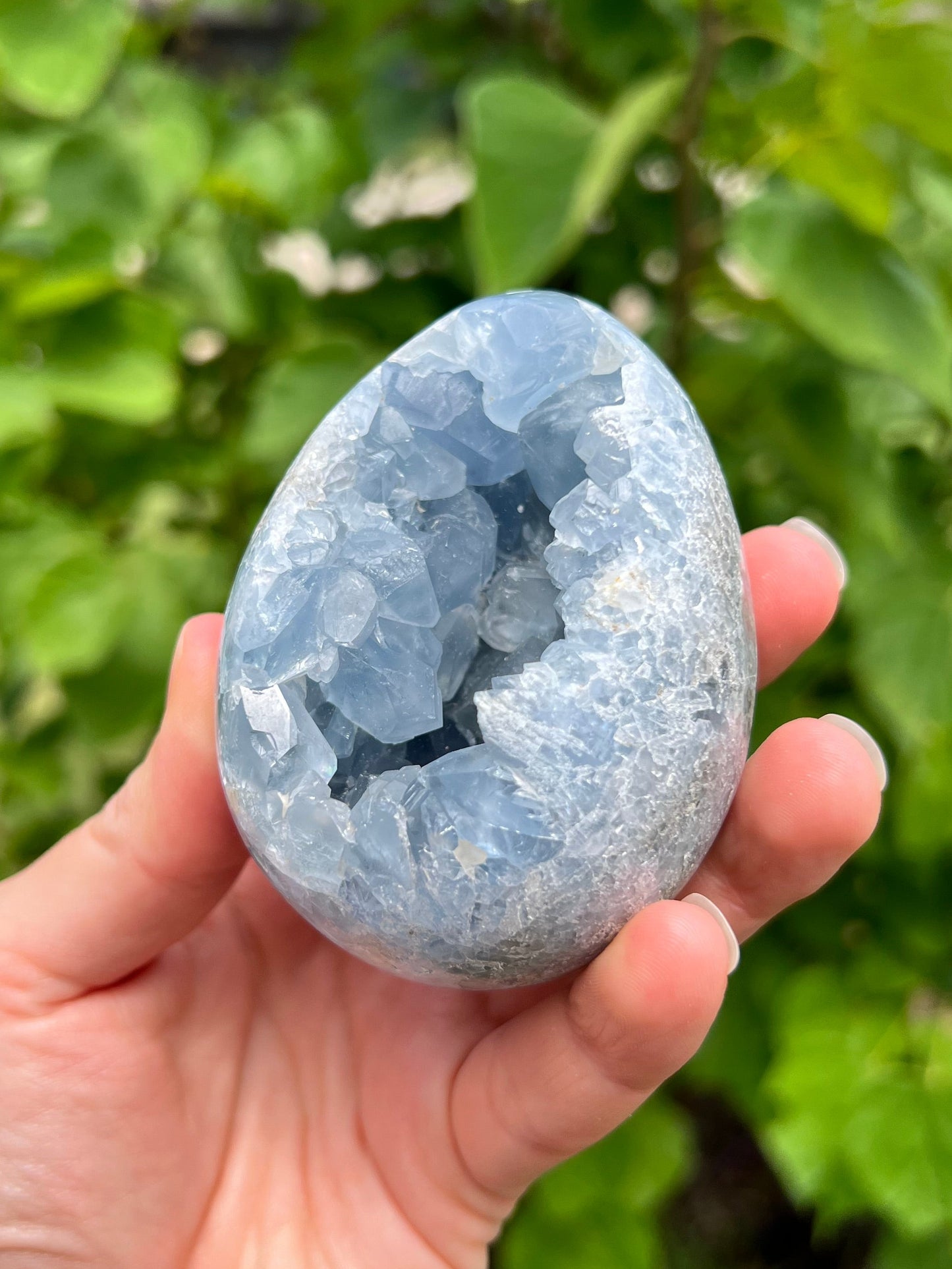 Celestite Eggs