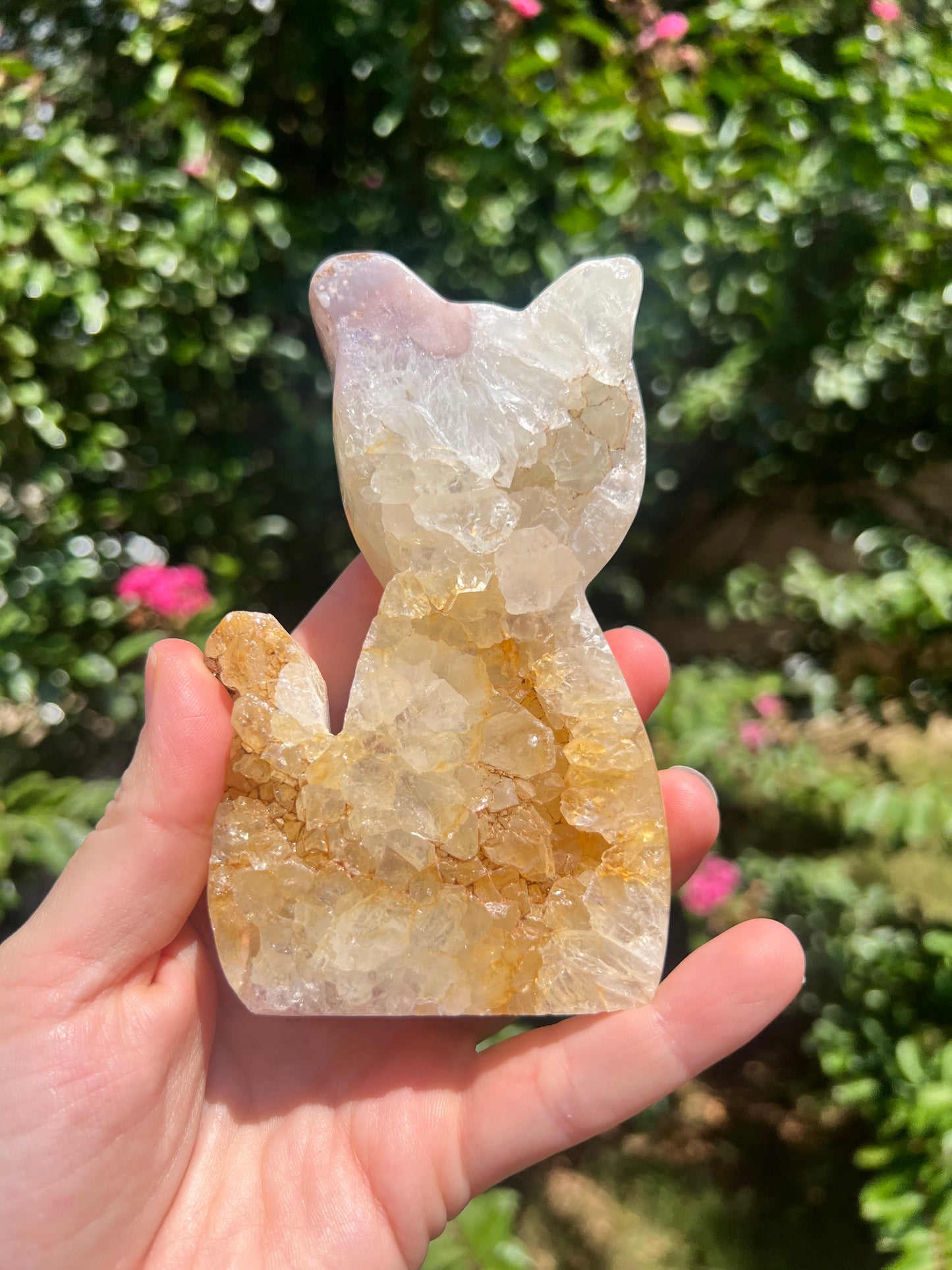 粉红紫水晶猫