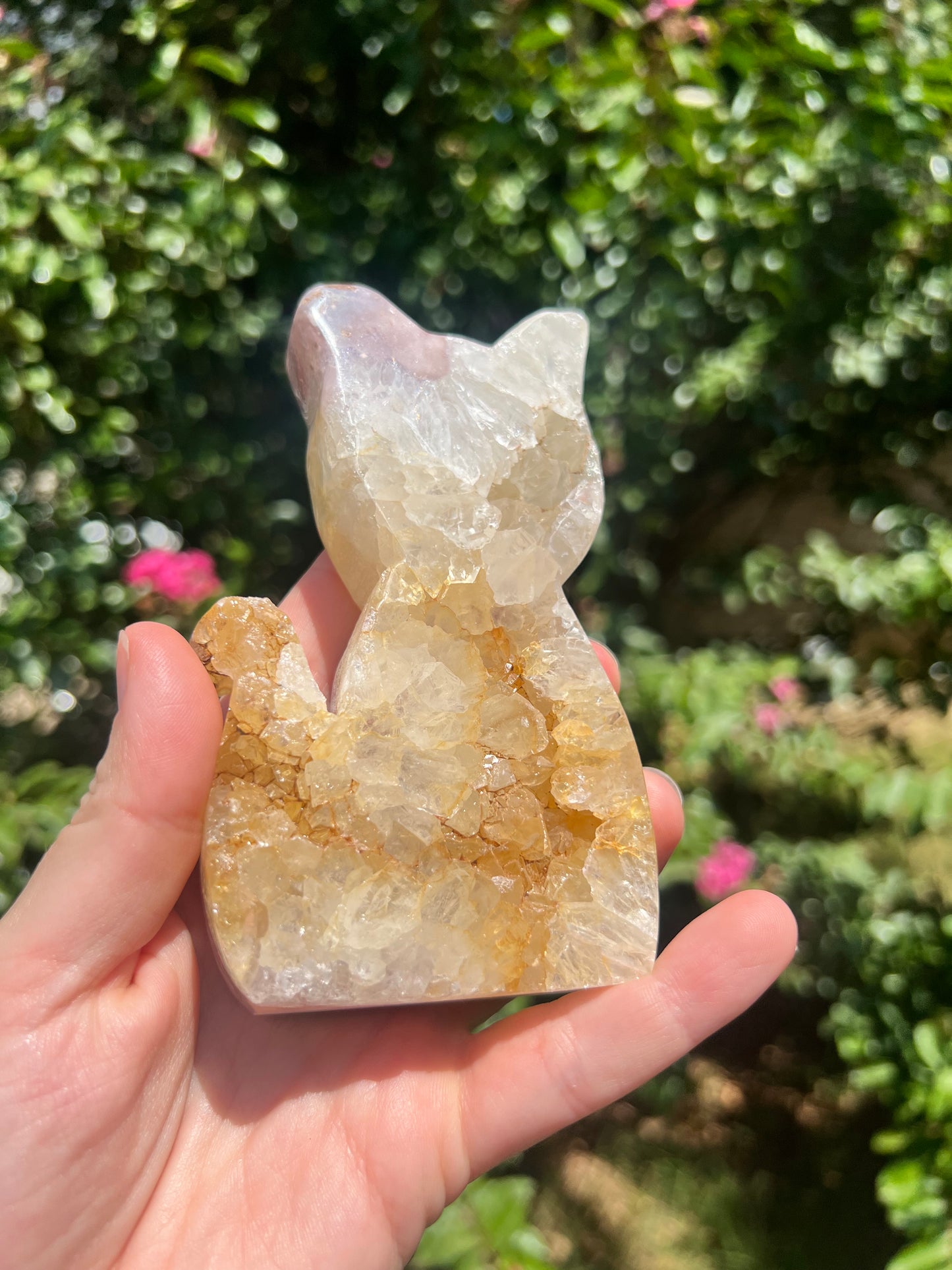 粉红紫水晶猫